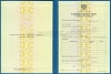 Увеличить Стоимость Свидетельства о Повышении Квалификации 1997-2018 г. в Искитиме (Новосибирской Области)